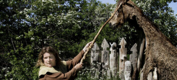 Her er du vaskekte viking for en dag Her er du vaskekte viking for en dag