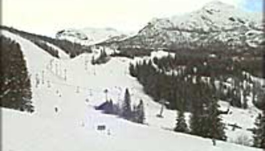Hemsedal kanskje? Hemsedal kanskje?