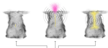 Norske forskere fant «kosmisk» stråling i tordensky Norske forskere fant «kosmisk» stråling i tordensky