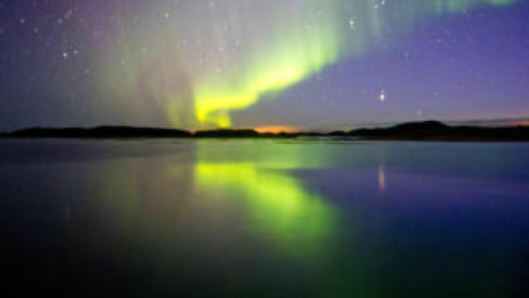 <strong>MARS:</strong> Nordlys over Steigen i Nord-Norge, et godt alternativ til å jakte Aurora polaris på Svalbard. Foto: THOMAS RASMUS SKAUG <strong>MARS:</strong> Nordlys over Steigen i Nord-Norge, et godt alternativ til å jakte Aurora polaris på Svalbard. Foto: THOMAS RASMUS SKAUG