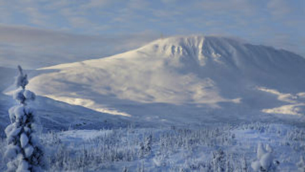 <strong>DESEMBER:</strong> Gaustatoppen bader i formiddagssol, mens skyggelandskapet ligger blått i 11 kuldegrader. Foto: OLE C. H. THOMASSEN <strong>DESEMBER:</strong> Gaustatoppen bader i formiddagssol, mens skyggelandskapet ligger blått i 11 kuldegrader. Foto: OLE C. H. THOMASSEN