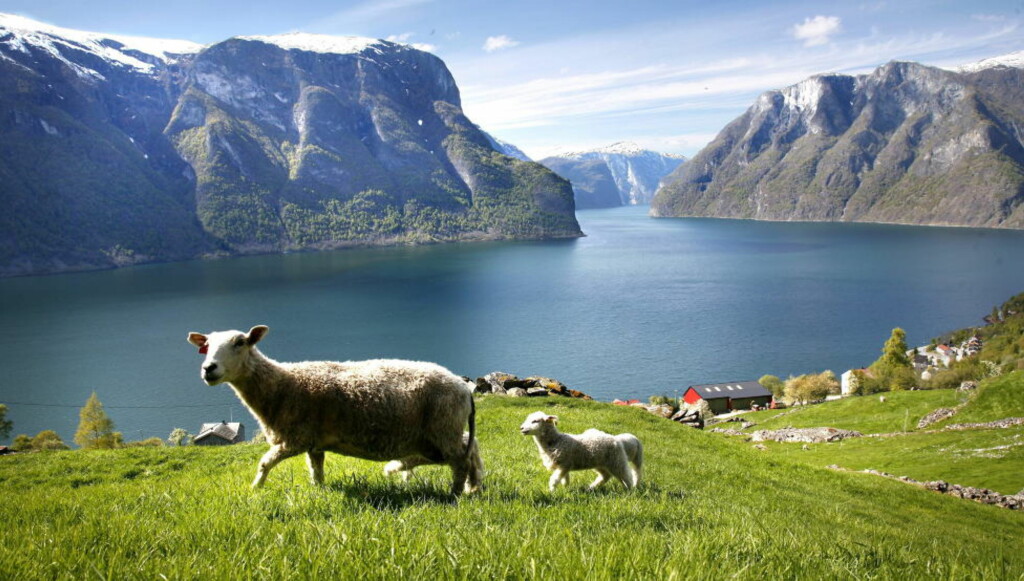logg in norsk erotisk film logg in norsk erotisk film