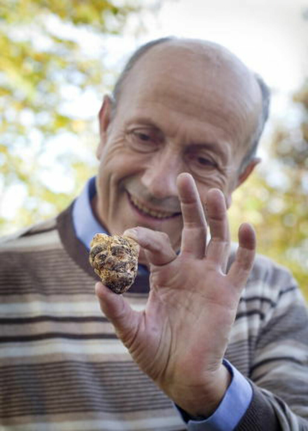 HVIT TRØFFEL: Vinbonde Alberto Fenocchio viser stolt fram et eksemplar av Piemontes hvite trøffel, funnet mellom bondens drueranker. Foto: METTE MØLLER HVIT TRØFFEL: Vinbonde Alberto Fenocchio viser stolt fram et eksemplar av Piemontes hvite trøffel, funnet mellom bondens drueranker. Foto: METTE MØLLER