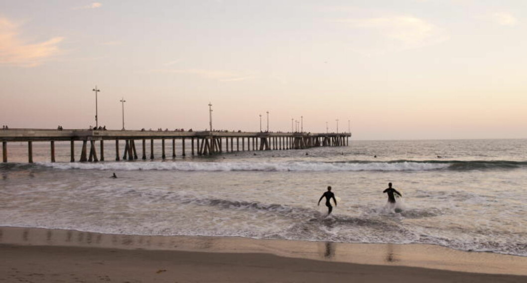 <strong>VENICE FISHING PIER:</strong> Ikke like spektakulær som tivolipiren i nabobyen Santa Monica, men dobbelt så idyllisk. Foto: KNUT EGIL WANG <strong>VENICE FISHING PIER:</strong> Ikke like spektakulær som tivolipiren i nabobyen Santa Monica, men dobbelt så idyllisk. Foto: KNUT EGIL WANG