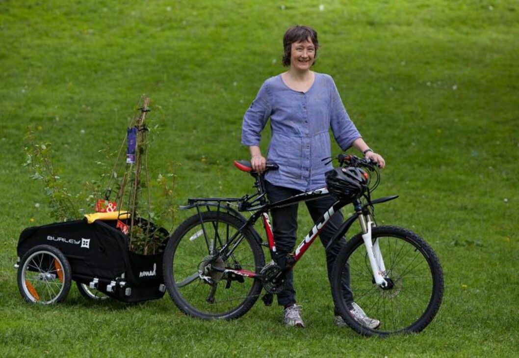 BRITA HANEBERG: Sykler på en Burley Nomad med tilhenger. Foto: Geir Anders Rybakken Ørslien BRITA HANEBERG: Sykler på en Burley Nomad med tilhenger. Foto: Geir Anders Rybakken Ørslien