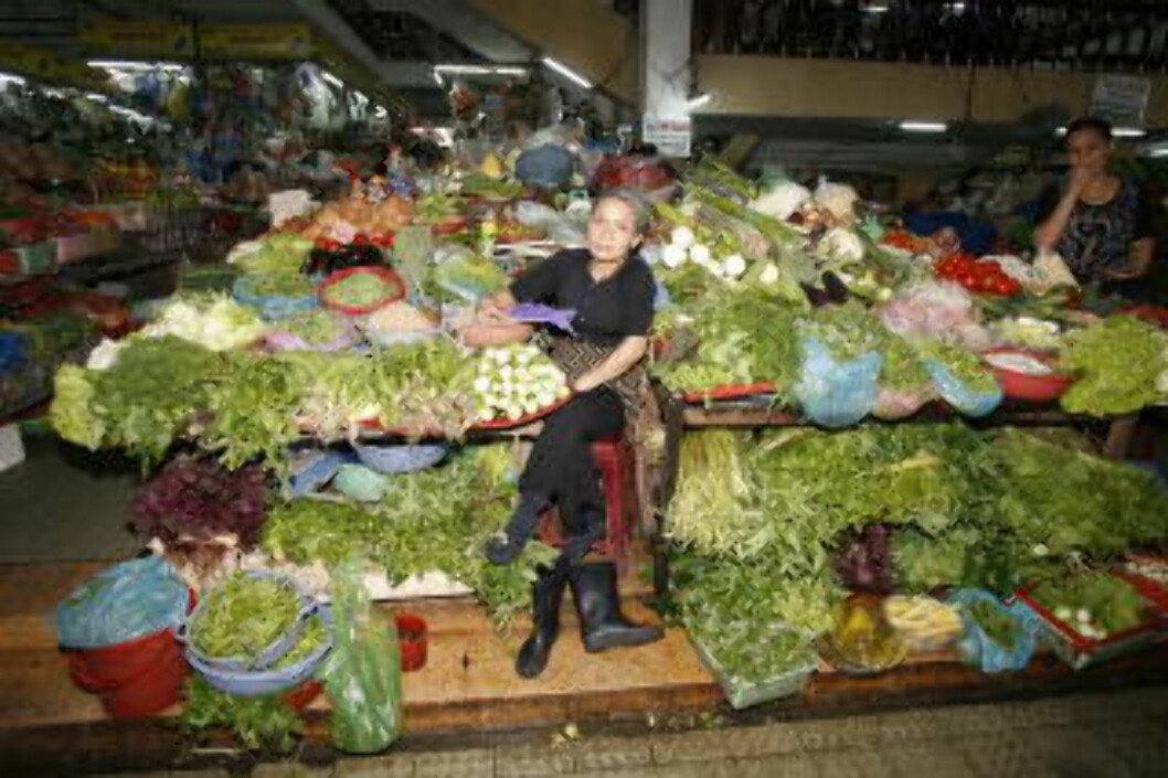 FERSKE RÅVARER: Matmarkedene bugner over av ferske råvarer. Foto: TORMOD BRENNA FERSKE RÅVARER: Matmarkedene bugner over av ferske råvarer. Foto: TORMOD BRENNA