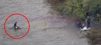 Holdt pusten og gjemte seg bak en stein i vannet Holdt pusten og gjemte seg bak en stein i vannet