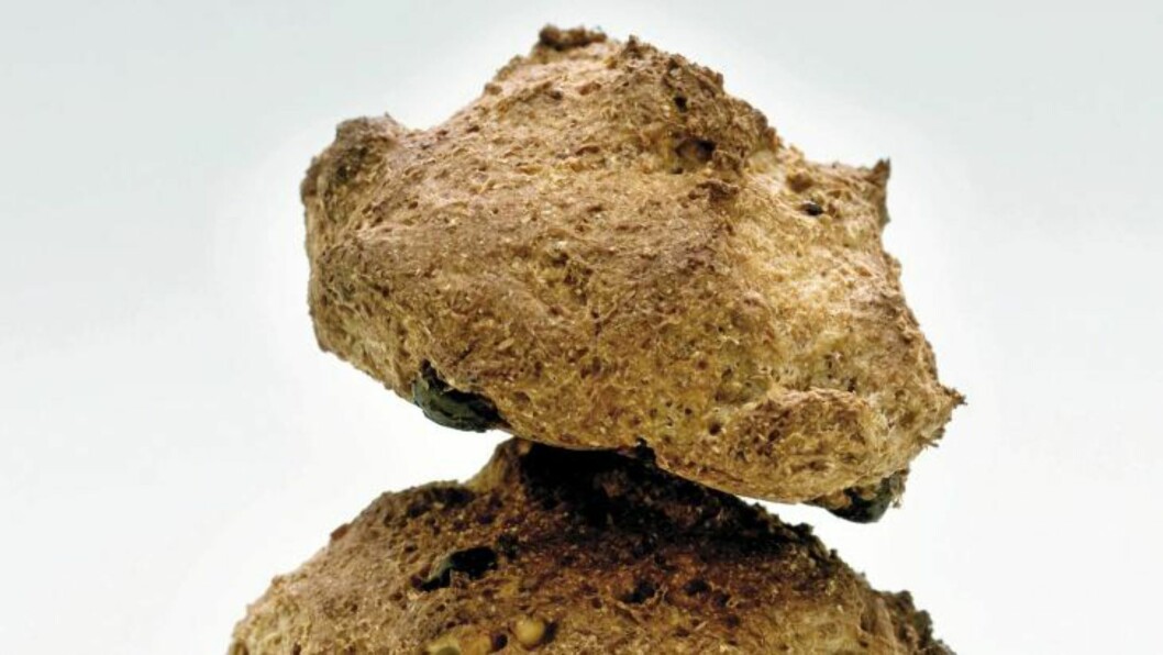 RUNDSTYKKER: Disse inneholder mye speltmel og er både god frokost og mettende matpakke. Foto: Cappelen Damm RUNDSTYKKER: Disse inneholder mye speltmel og er både god frokost og mettende matpakke. Foto: Cappelen Damm