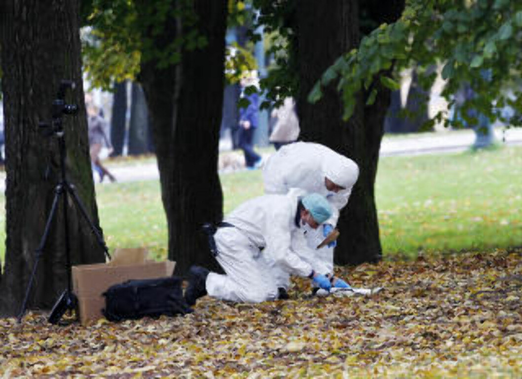 <strong>FIRE VOLDTEKTER I SLOTTSPARKEN I ÅR:</strong>
Kriminalteknikere sikrer spor etter en voldtekt i Slottsparken natt til søndag 23. oktober. Foto: Erlend Aas / Scanpix <strong>FIRE VOLDTEKTER I SLOTTSPARKEN I ÅR:</strong>
Kriminalteknikere sikrer spor etter en voldtekt i Slottsparken natt til søndag 23. oktober. Foto: Erlend Aas / Scanpix