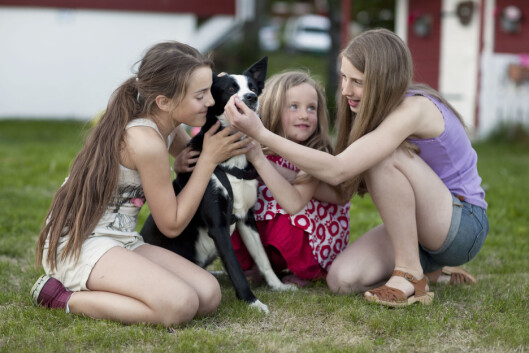 Hunder liker ikke å bli klemt. Faktisk er det noe av det verste man kan gjøre mot en hund, forteller forfatter og hundetrener Turid Rugaas. Foto: NPX/Scanpix Hunder liker ikke å bli klemt. Faktisk er det noe av det verste man kan gjøre mot en hund, forteller forfatter og hundetrener Turid Rugaas. Foto: NPX/Scanpix