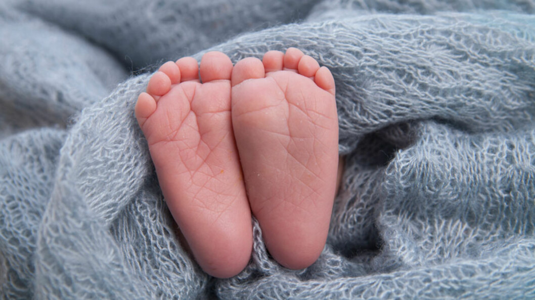 <strong>VINTERBABY ELLER SOMMERBABY:</strong> Flest blir født på sommeren. Foto: NTB scanpix <strong>VINTERBABY ELLER SOMMERBABY:</strong> Flest blir født på sommeren. Foto: NTB scanpix