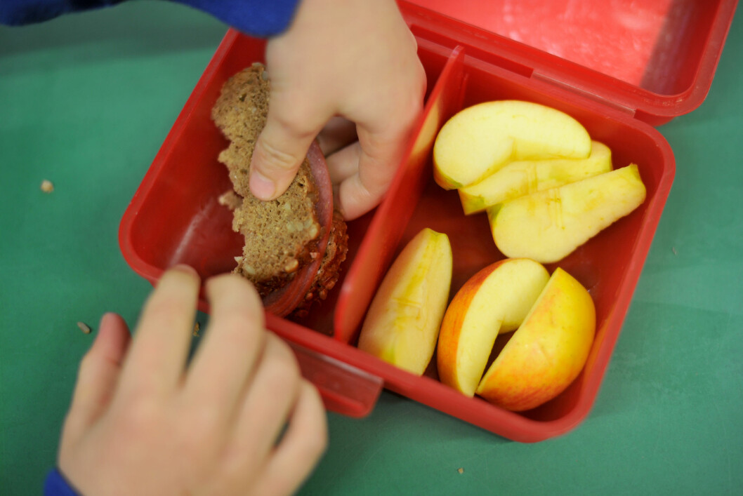 <strong>SUNNE VALG:</strong> Brødskive med proteinrikt pålegg og frukt er gode ingredienser i matboksen.
Foto: Frank May/NTB scanpix <strong>SUNNE VALG:</strong> Brødskive med proteinrikt pålegg og frukt er gode ingredienser i matboksen.
Foto: Frank May/NTB scanpix