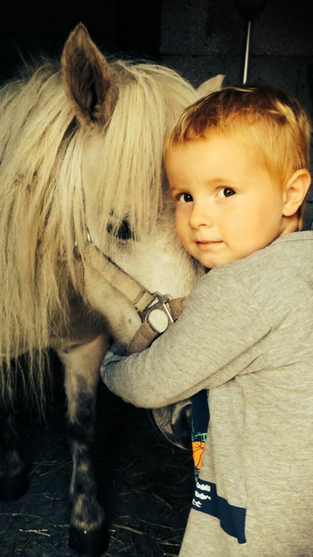 <strong>ELDSTEMANN:</strong> Noah-Nathaniel (4) ble født da June-Maria var 18 år. Foto: Privat <strong>ELDSTEMANN:</strong> Noah-Nathaniel (4) ble født da June-Maria var 18 år. Foto: Privat