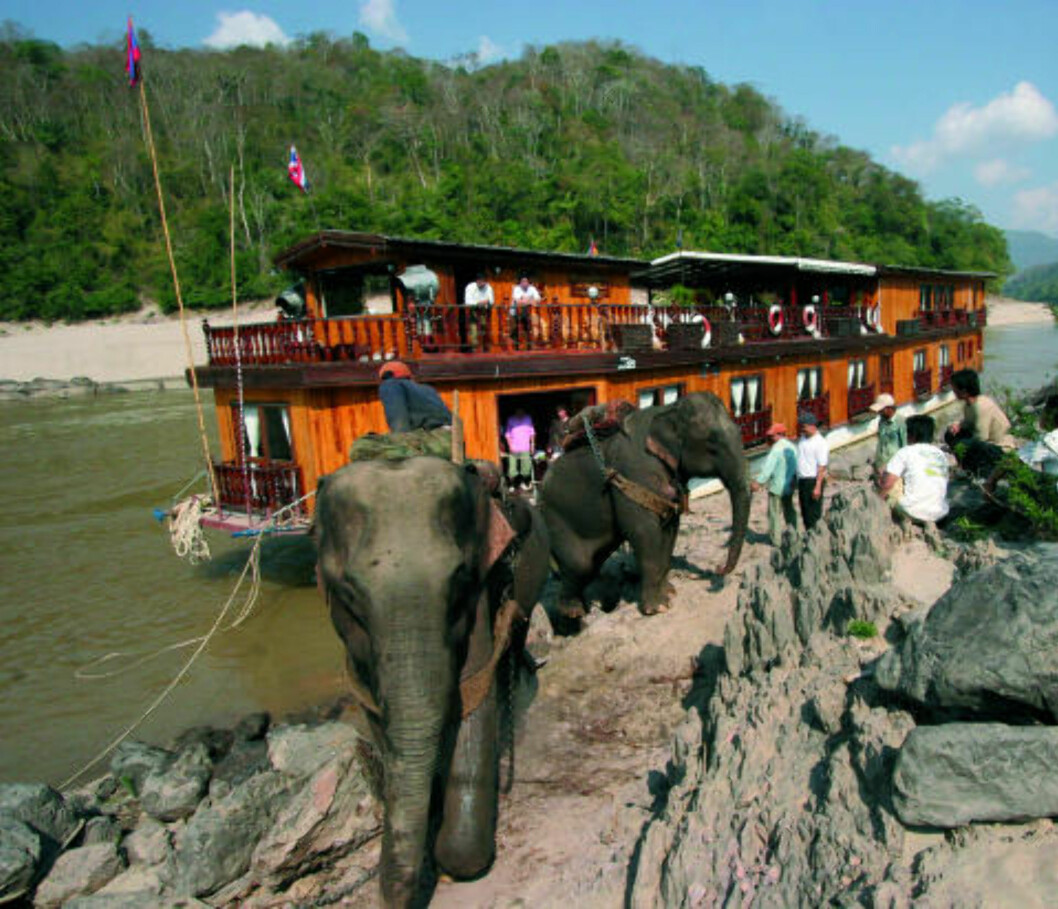 MEKONG: Blir du med på elvecruise på Mekong, ser du kanskje elefanter ved bredden. Foto: Escape Travel MEKONG: Blir du med på elvecruise på Mekong, ser du kanskje elefanter ved bredden. Foto: Escape Travel