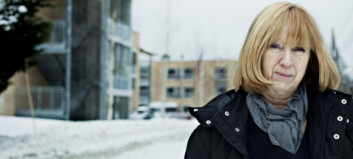 - Sveket, alene og forlatt - Sveket, alene og forlatt