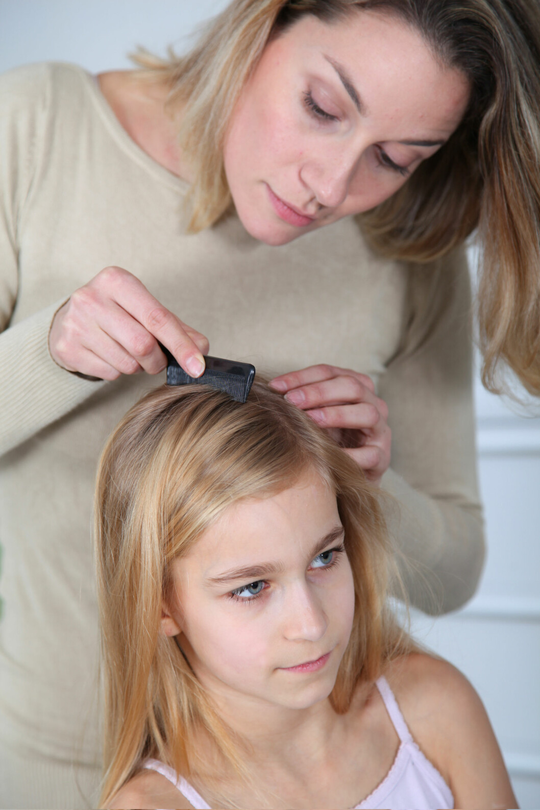 BRUK LUSEKAM: Om du mistenker lus, bør du sjekke flere ganger. Foto: Shutterstock BRUK LUSEKAM: Om du mistenker lus, bør du sjekke flere ganger. Foto: Shutterstock