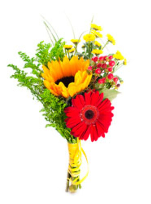 NEI: Foto: Shutterstock.com NEI: Foto: Shutterstock.com