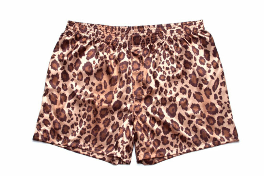 TO FLUER I EN SMEKK: Løs silkeboxer med sexy leopardtrykk. Garantert noe pappa IKKE vil ha! TO FLUER I EN SMEKK: Løs silkeboxer med sexy leopardtrykk. Garantert noe pappa IKKE vil ha!