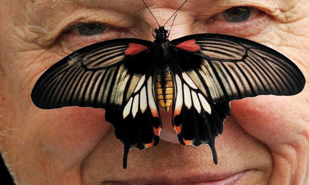 image: Til tross for alt Sir David Attenborough (90) har opplevd, ble han nylig fullstendig overveldet