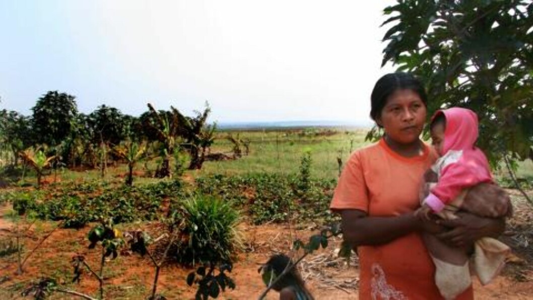 MISTET SKOG: Jorgelina Portillo er en del av urbefolkningen i Paraguay. Hun forteller hvordan de har mistet skogen de har vært så avhengig av. Foto: Marie Melgård MISTET SKOG: Jorgelina Portillo er en del av urbefolkningen i Paraguay. Hun forteller hvordan de har mistet skogen de har vært så avhengig av. Foto: Marie Melgård