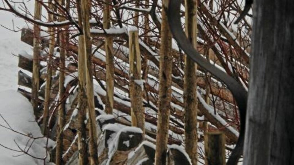 ELDGAMMEL OPPSKRIFT: Den nye skigarden er satt opp etter alle kunstens regler av Brødrene Formo i Vågå. FOTO: Nils Petter Dale ELDGAMMEL OPPSKRIFT: Den nye skigarden er satt opp etter alle kunstens regler av Brødrene Formo i Vågå. FOTO: Nils Petter Dale