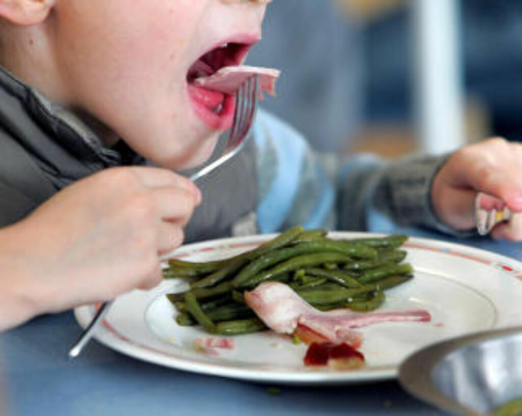 KOK DEM GODT: Bønner er blant grønnsakene som må kokes godt, hvis ikke kan vi bli syke av lektinene i dem. Illustrasjonsfoto: www.colourbox.com KOK DEM GODT: Bønner er blant grønnsakene som må kokes godt, hvis ikke kan vi bli syke av lektinene i dem. Illustrasjonsfoto: www.colourbox.com