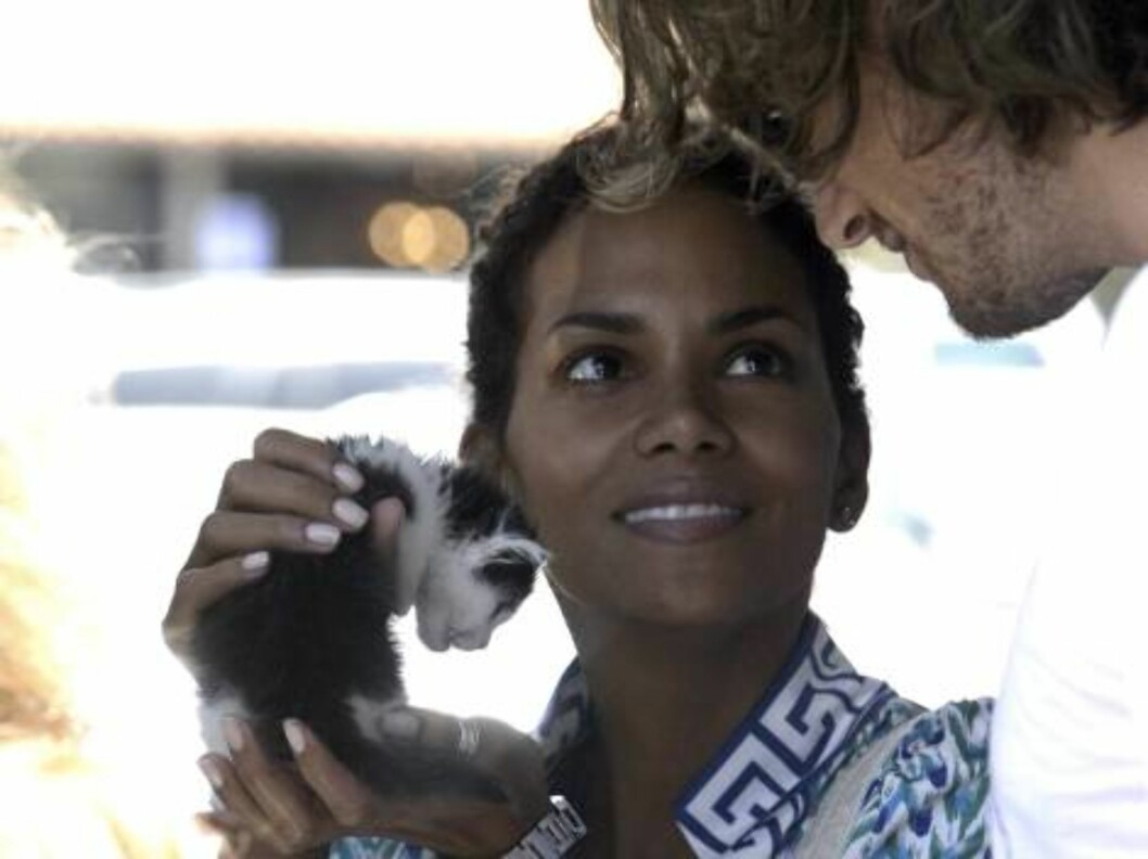 Catwoman star Halle Berry with boyfriend Gabriel buying a cat at a pet store in Malibu June 18, 2006 X17agency exclusive Foto: All Over Press Catwoman star Halle Berry with boyfriend Gabriel buying a cat at a pet store in Malibu June 18, 2006 X17agency exclusive Foto: All Over Press