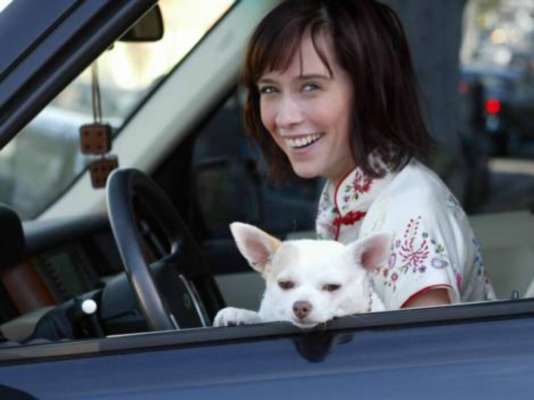 <strong>Code:</strong>X17XX8-Tuan Pham, California, USA, 15.11.2004:
Singer / Actress Jennifer Love Hewitt rushes her dog to the animal hosptal for a bladder infection. She comes out with special food, happy that her dog is fine.
All Over Press / X17 Picture Agency / Tu Foto: All Over Press <strong>Code:</strong>X17XX8-Tuan Pham, California, USA, 15.11.2004:
Singer / Actress Jennifer Love Hewitt rushes her dog to the animal hosptal for a bladder infection. She comes out with special food, happy that her dog is fine.
All Over Press / X17 Picture Agency / Tu Foto: All Over Press
