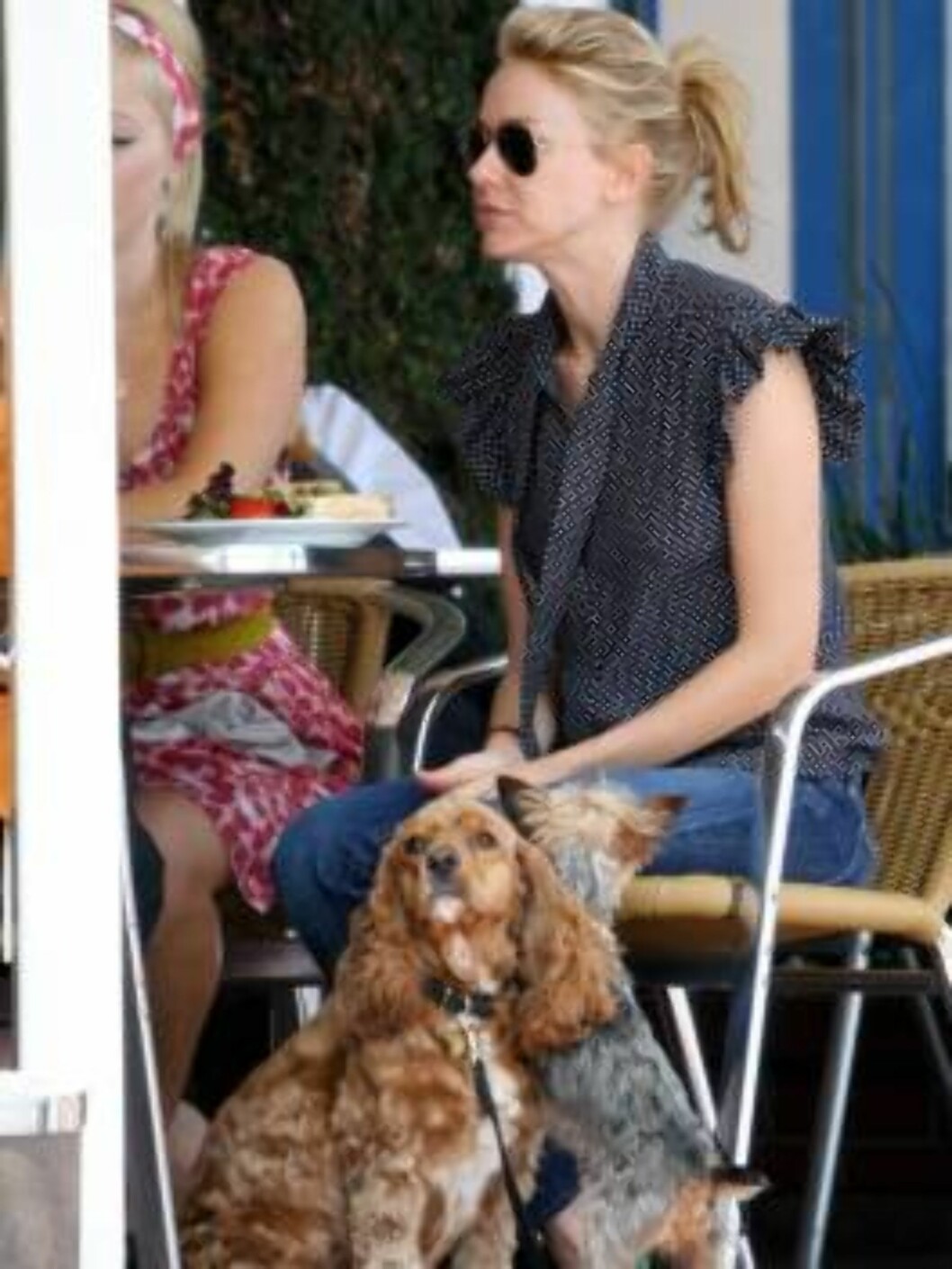 Naomie Watts going shopping with her dogs despite a sign forbiding pets _Fred Seagal and Maxfield_ June 12, 2006 X17agency exclusive Foto: All Over Press Naomie Watts going shopping with her dogs despite a sign forbiding pets _Fred Seagal and Maxfield_ June 12, 2006 X17agency exclusive Foto: All Over Press