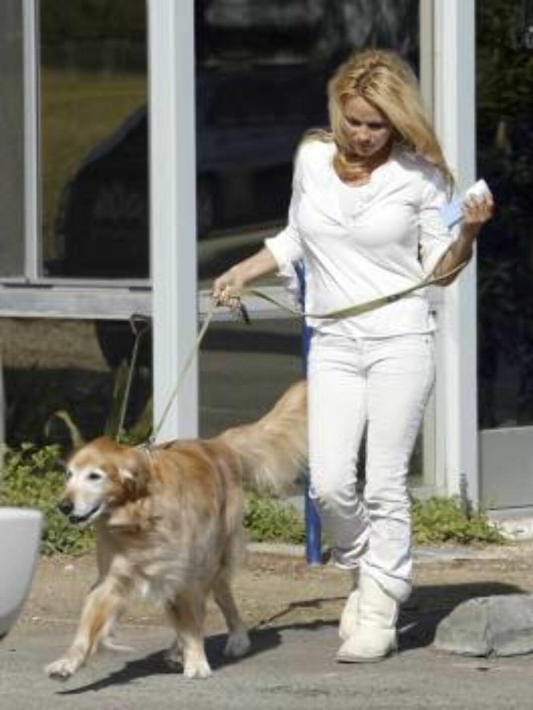 Pamela Anderson takes her lab to the vet in Malibu. March 9, 2006
X17agency EXCLUSIVE Foto: All Over Press Pamela Anderson takes her lab to the vet in Malibu. March 9, 2006
X17agency EXCLUSIVE Foto: All Over Press