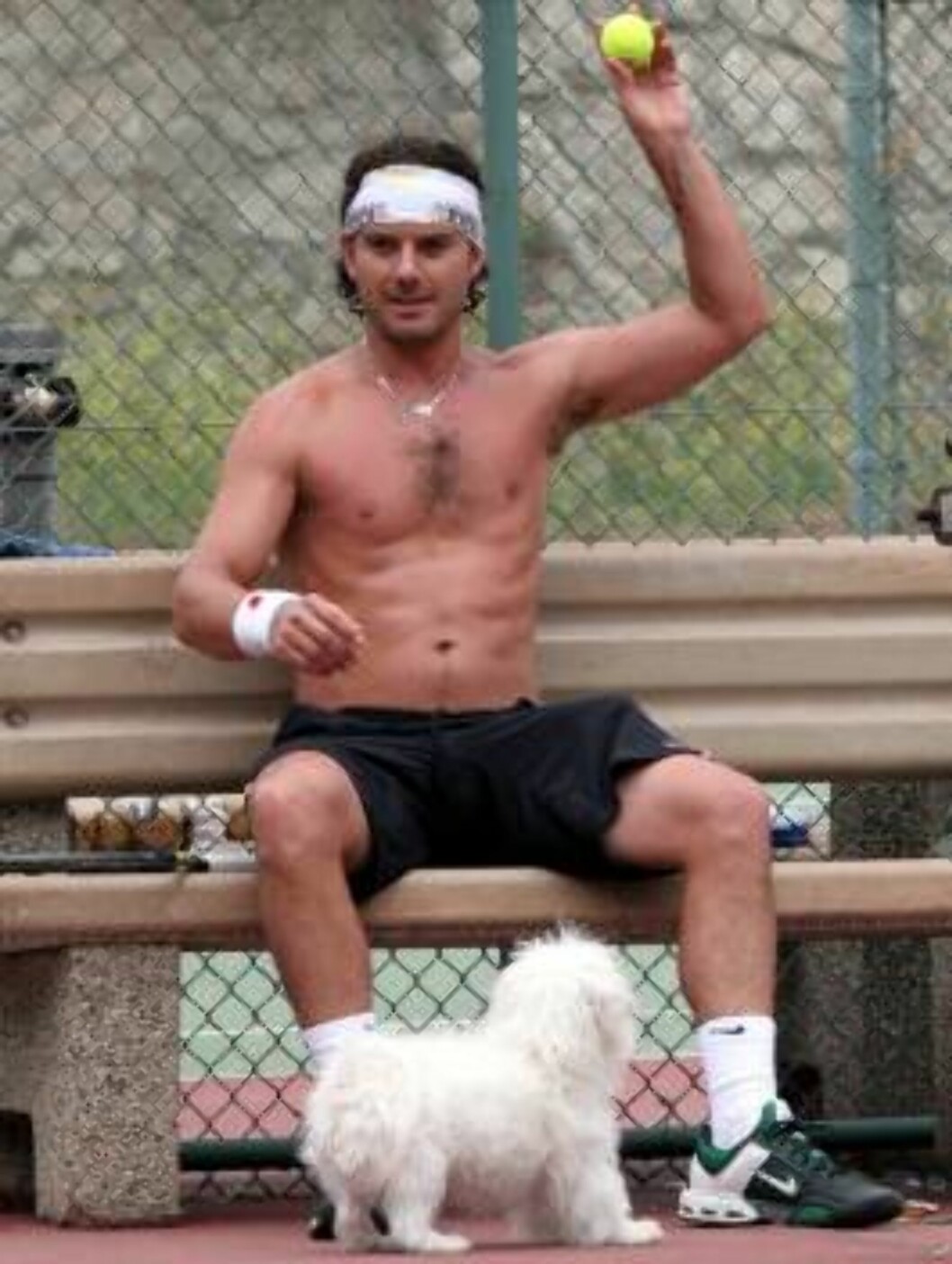 Gavin Rossdale playing tennis with his dog. June 7, 2006 X17agency exclusive Foto: All Over Press Gavin Rossdale playing tennis with his dog. June 7, 2006 X17agency exclusive Foto: All Over Press