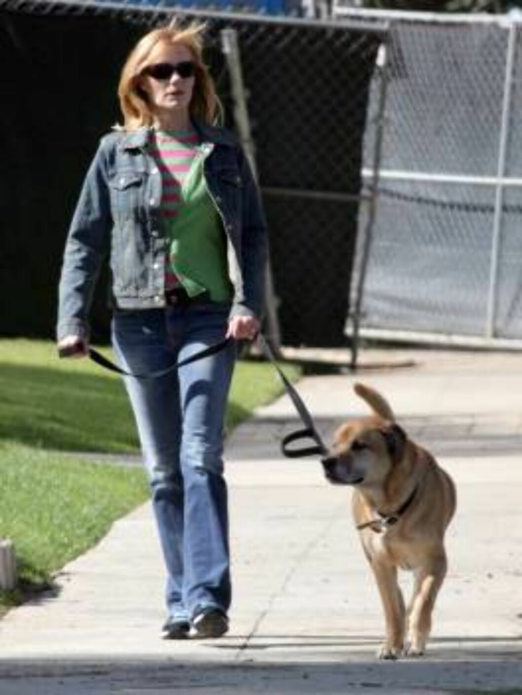 CSI star Marg Helgenberger walking her dog in Santa Monica. March 7, 2006
X17agency EXCLUSIVE / ALL OVER PRESS Foto: All Over Press CSI star Marg Helgenberger walking her dog in Santa Monica. March 7, 2006
X17agency EXCLUSIVE / ALL OVER PRESS Foto: All Over Press
