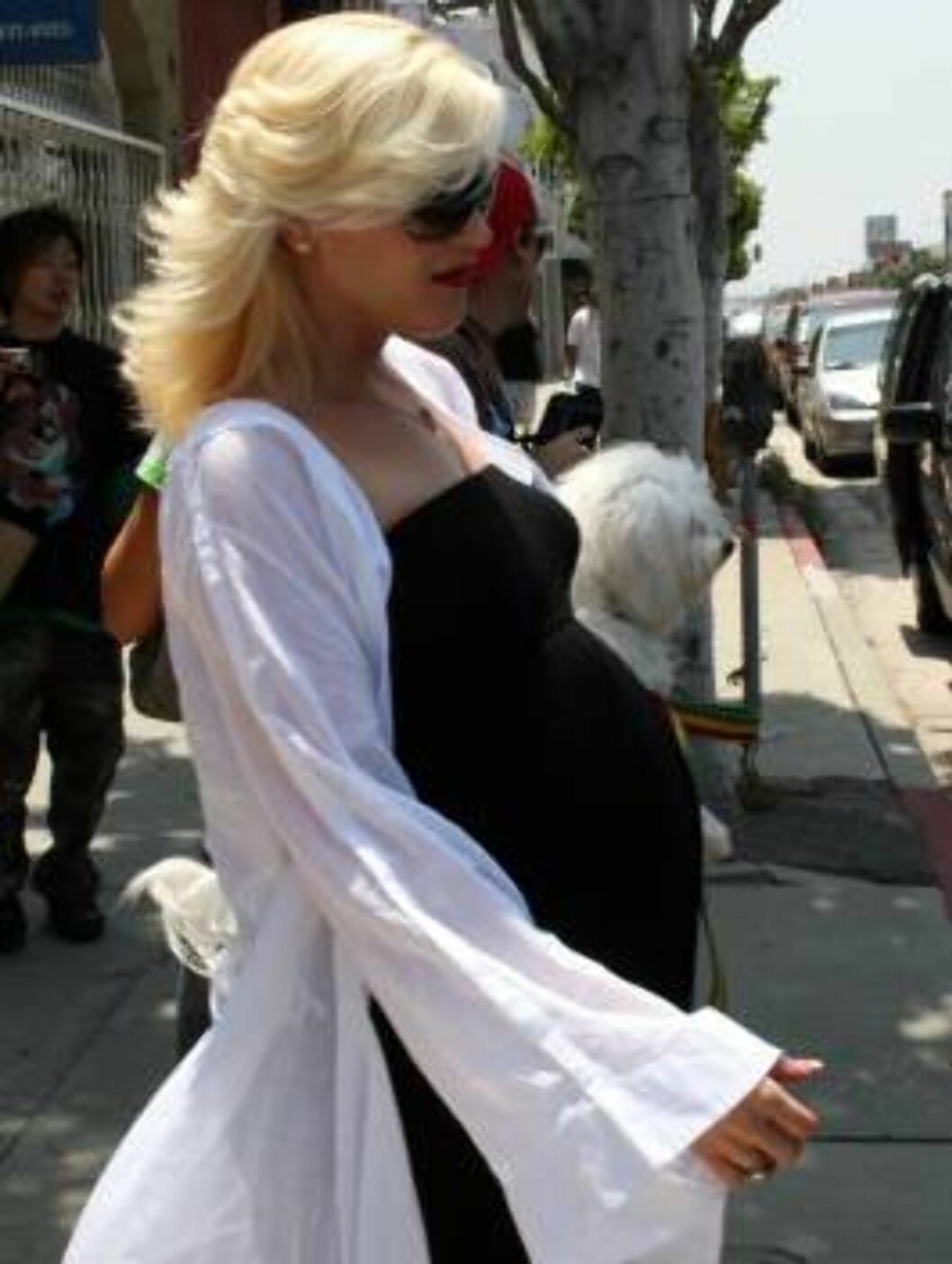 Pregnant Gwen Stefani carrying her dog while shopping for furniture in Hollywood. May 12, 2006
X17agency exclusive / ALL OVER PRESS Foto: All Over Press Pregnant Gwen Stefani carrying her dog while shopping for furniture in Hollywood. May 12, 2006
X17agency exclusive / ALL OVER PRESS Foto: All Over Press