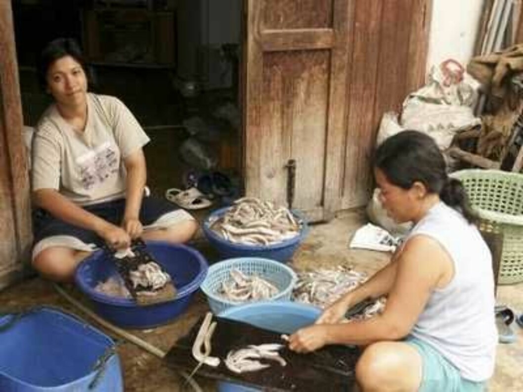 Thailand
Hua Hin
Foto: Vidar Engum Thailand
Hua Hin
Foto: Vidar Engum