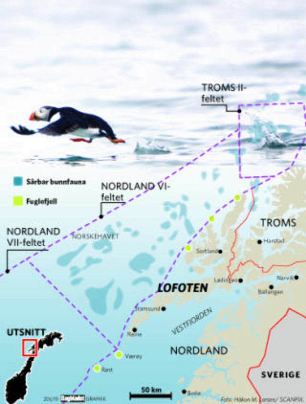 SÅRBAR NATUR: De blå markeringene viser Mareanos funn av sårbar bunnfauna i Nordland 7, og de grønne prikkene Seapops kartlegging av fuglefjell langs kysten av Troms og Nordland. Grafikk: Dagbladet. SÅRBAR NATUR: De blå markeringene viser Mareanos funn av sårbar bunnfauna i Nordland 7, og de grønne prikkene Seapops kartlegging av fuglefjell langs kysten av Troms og Nordland. Grafikk: Dagbladet.