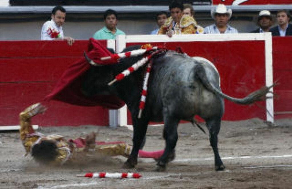 BLIR LIGGENDE: Jose Tomas blir liggende i ringen, alvorlig skadet. Foto: AFP BLIR LIGGENDE: Jose Tomas blir liggende i ringen, alvorlig skadet. Foto: AFP