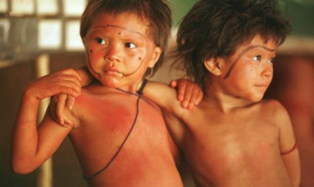 <strong>RAMMET:</strong> Leger sier Yanomami-folket, som lever dypt inne i regnskogen, derfor er spesielt utsatt for sykdommer utenfra. Til nå fryktes det at sju allerede har omkommet av viruset. FOTO: SCANPIX <strong>RAMMET:</strong> Leger sier Yanomami-folket, som lever dypt inne i regnskogen, derfor er spesielt utsatt for sykdommer utenfra. Til nå fryktes det at sju allerede har omkommet av viruset. FOTO: SCANPIX