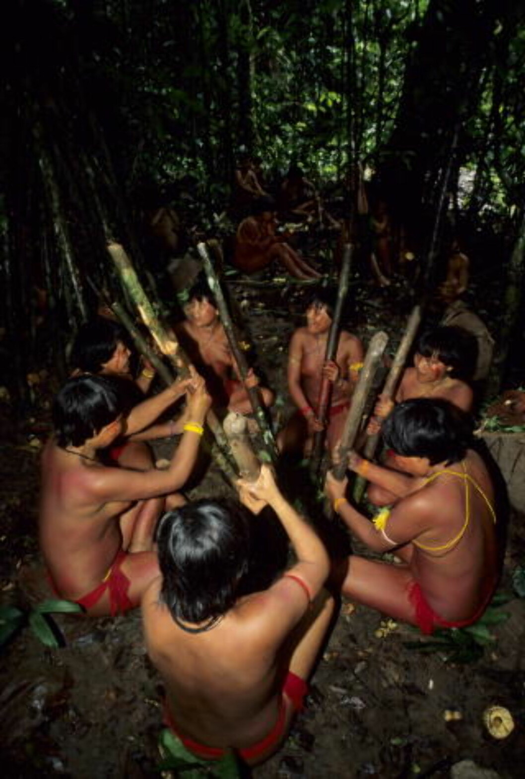 <strong>STAMMESAMFUNN:</strong> Omtrent 30 000 Yanomami-indianere bor spredt i grenseområdet mellom Brasil og Venezuela. Kvinnene på bildet knuser planter for å få ut saften som skal brukes som en slags rotenon-behandling av lokal fiskeelv. Fisken flyter opp, og indianerne kan plukke dem til mat.
FOTO: ARNE NÆVRA / SCANPIX <strong>STAMMESAMFUNN:</strong> Omtrent 30 000 Yanomami-indianere bor spredt i grenseområdet mellom Brasil og Venezuela. Kvinnene på bildet knuser planter for å få ut saften som skal brukes som en slags rotenon-behandling av lokal fiskeelv. Fisken flyter opp, og indianerne kan plukke dem til mat.
FOTO: ARNE NÆVRA / SCANPIX