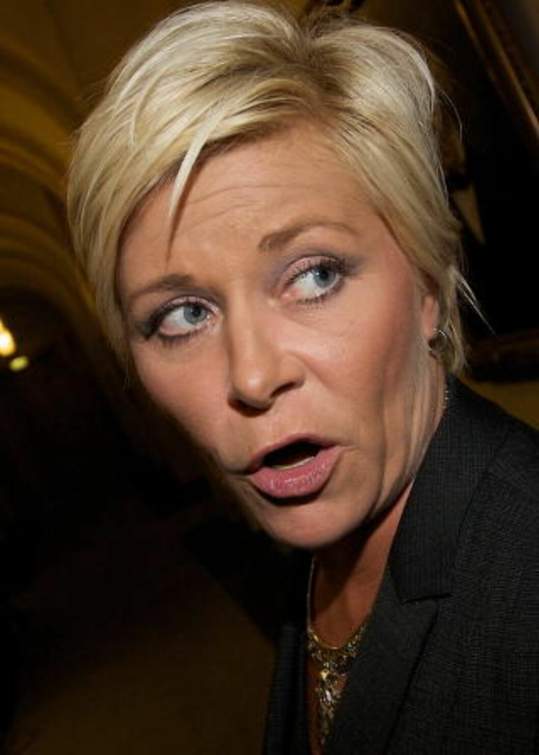 VIL FORFØLGE SAKEN: Frp-leder Siv Jensen på Stortinget. Foto: Eirik Helland Urke / Dagbladet VIL FORFØLGE SAKEN: Frp-leder Siv Jensen på Stortinget. Foto: Eirik Helland Urke / Dagbladet