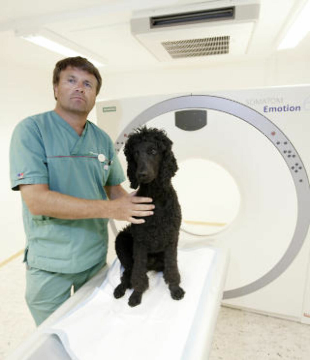 - FORLENGER LIVET: Veterinær Kjetil Dahl driver kreftbehandling av dyr på Oslo dyreklinikk. - Man forlenger som regel livet med ti prosent, sier han. Her med kongepuddelen Lennart. Foto: Henning Lillegård - FORLENGER LIVET: Veterinær Kjetil Dahl driver kreftbehandling av dyr på Oslo dyreklinikk. - Man forlenger som regel livet med ti prosent, sier han. Her med kongepuddelen Lennart. Foto: Henning Lillegård