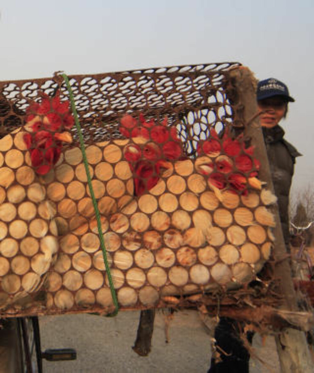 KYLLING: Bout handler ikke bare med våpen. Også lovlige artikler som kylling, blomster og nødhjelp til tsunamiofre har vært innom Bouts fly. Foto: AP Photo/Scanpix KYLLING: Bout handler ikke bare med våpen. Også lovlige artikler som kylling, blomster og nødhjelp til tsunamiofre har vært innom Bouts fly. Foto: AP Photo/Scanpix
