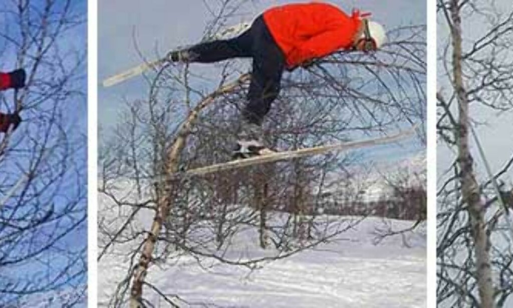 TREHOPPERE: Eldar Heide (regjerende norgesmester), Kjell-Petter Bruun og Gudbrand Heiene viser hvordan det skal gjøres. Foto: home.no.net/vvvvidar/skitrehopping TREHOPPERE: Eldar Heide (regjerende norgesmester), Kjell-Petter Bruun og Gudbrand Heiene viser hvordan det skal gjøres. Foto: home.no.net/vvvvidar/skitrehopping