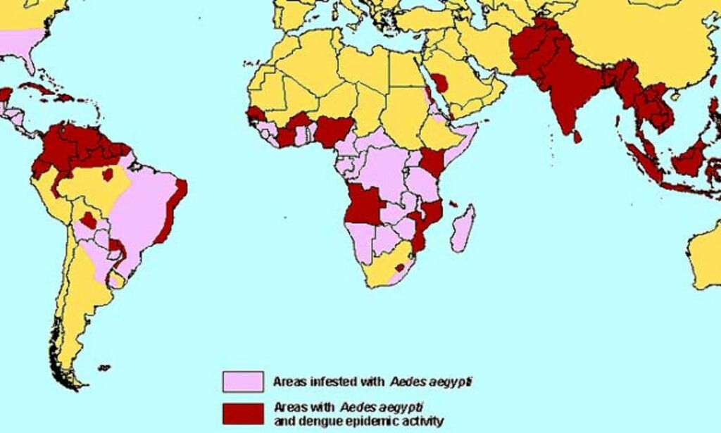 100 LAND: Denguefeber og Aedesmyggen finnes i over 100 land i verden. Dette spredningskartet er fra 2003/2004. Foto: Centers for Disease Control 100 LAND: Denguefeber og Aedesmyggen finnes i over 100 land i verden. Dette spredningskartet er fra 2003/2004. Foto: Centers for Disease Control