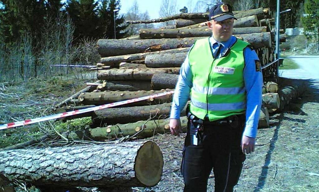 HER SKJEDDE ULYKKEN: Skadestedsleder Henning Fredriksen ved siden av tømmerstokken den åtte år gamle jenta fikk over seg. MMS-Foto: HANS ARNE VEDLOG HER SKJEDDE ULYKKEN: Skadestedsleder Henning Fredriksen ved siden av tømmerstokken den åtte år gamle jenta fikk over seg. MMS-Foto: HANS ARNE VEDLOG