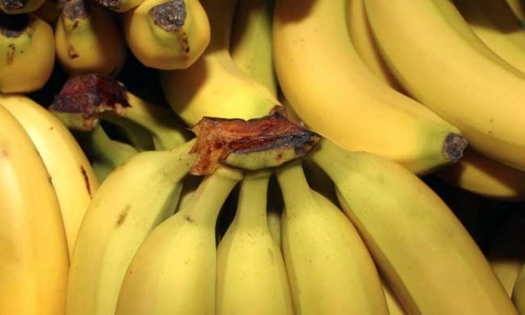 BANAN-TERROR: Kvinnen løste opp sovemidler og bakte dem inn i en banankake hun deretter serverte sønnen. Illustrasjonsfoto Scanpix: BANAN-TERROR: Kvinnen løste opp sovemidler og bakte dem inn i en banankake hun deretter serverte sønnen. Illustrasjonsfoto Scanpix:
