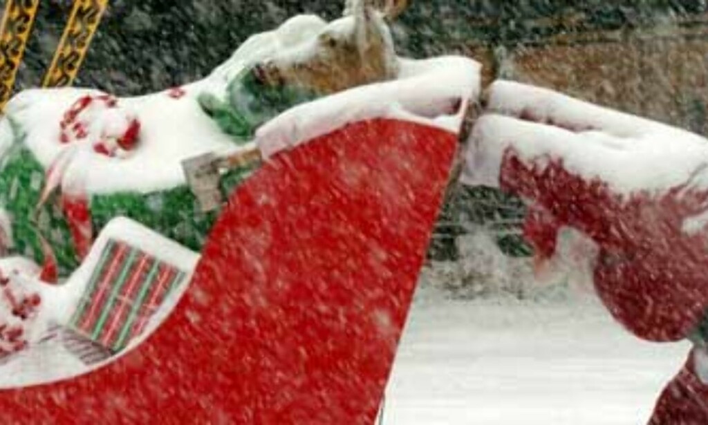 image: Ingen vet hva jul betyr image: Ingen vet hva jul betyr