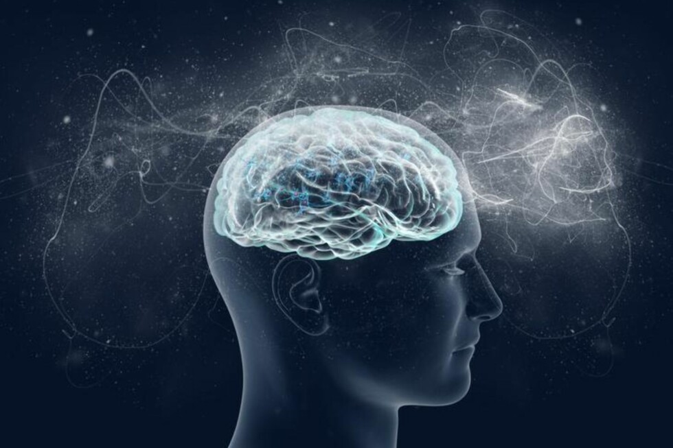 INTELLIGENT MENNESKE: Vi tar intelligens for gitt og tenker ikke over hvor mye som foregår i hjernen. Derfor er det vanskelig å rekonstruere det, ifølge forskere. Foto: VITSTUDIO / SHUTTERSTOCK / NTB SCANPIX INTELLIGENT MENNESKE: Vi tar intelligens for gitt og tenker ikke over hvor mye som foregår i hjernen. Derfor er det vanskelig å rekonstruere det, ifølge forskere. Foto: VITSTUDIO / SHUTTERSTOCK / NTB SCANPIX