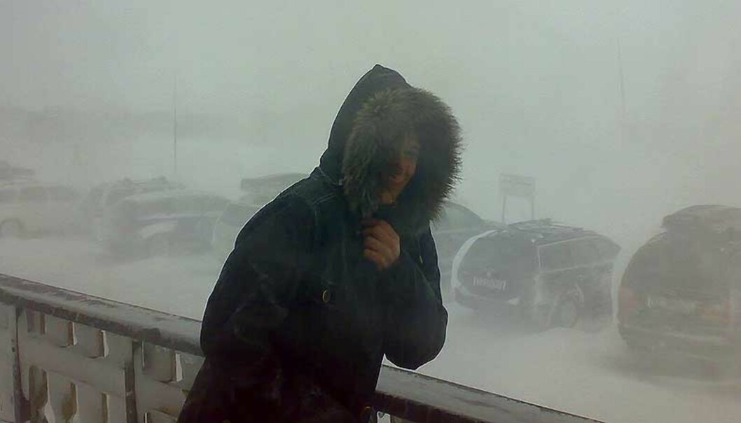 <b>VÆRFAST</b> Dagbladet-journalist Vigdis Alver har vært værfast på Hardangervidda siden i går, men i morgen blir det været bedre. Foto: <b>VÆRFAST</b> Dagbladet-journalist Vigdis Alver har vært værfast på Hardangervidda siden i går, men i morgen blir det været bedre. Foto: