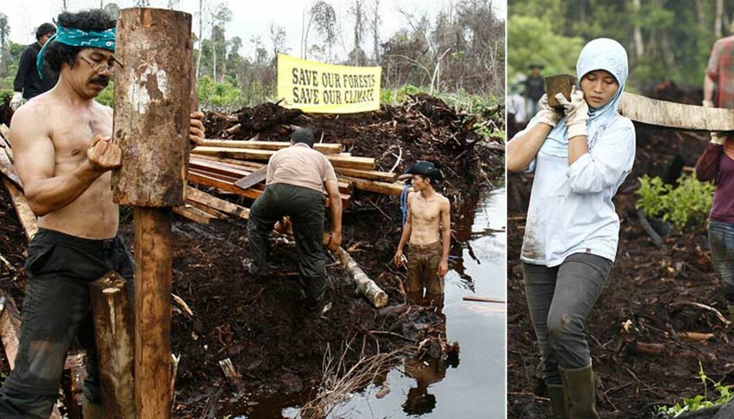 <strong><b>STOPPER DRENERING:</strong></b> Aksjonister stopper dreneringen av sumper og regnskog for å stoppe hugging av regnskogen på Sumatra i Indonesia. Foto: GREENPEACE/Oka Budhi <strong><b>STOPPER DRENERING:</strong></b> Aksjonister stopper dreneringen av sumper og regnskog for å stoppe hugging av regnskogen på Sumatra i Indonesia. Foto: GREENPEACE/Oka Budhi