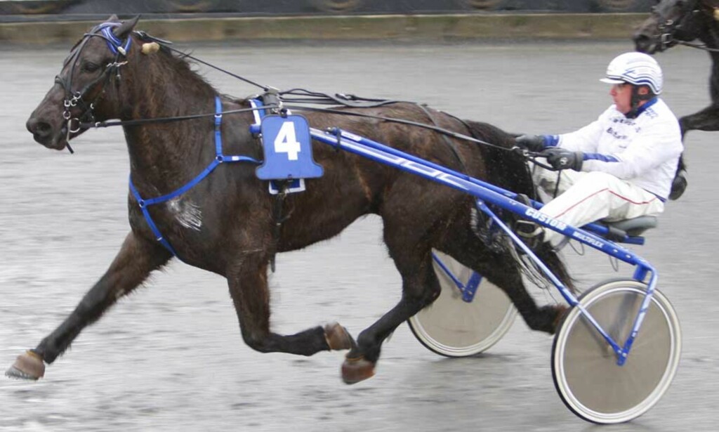 TAPER IKKE LØP. Jeppes Odin blir stor favoritt til å ta årets sjette strake seier i V75-4. Foto: HESTEGUIDEN.COM TAPER IKKE LØP. Jeppes Odin blir stor favoritt til å ta årets sjette strake seier i V75-4. Foto: HESTEGUIDEN.COM